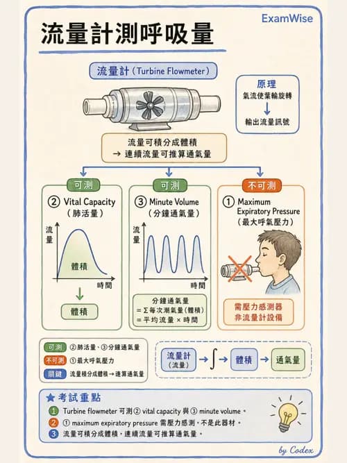 呼吸治療師 - 呼吸機械力學監測 - AI 圖文解析預覽