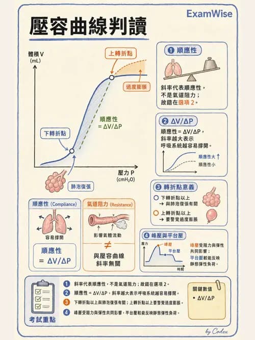呼吸治療師 - 呼吸機械力學監測 - AI 圖文解析預覽