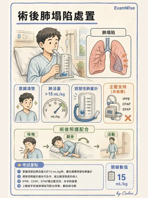 呼吸治療師 - 胸部擴張與物理治療設備 - AI 圖文解析預覽