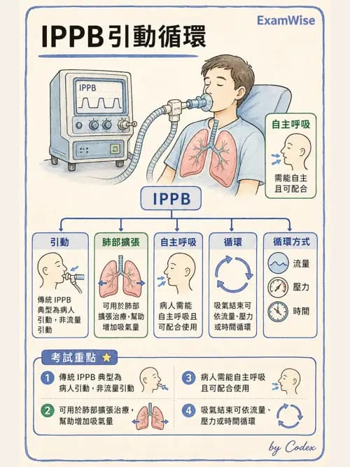 呼吸治療師 - 胸部擴張與物理治療設備 - AI 圖文解析預覽