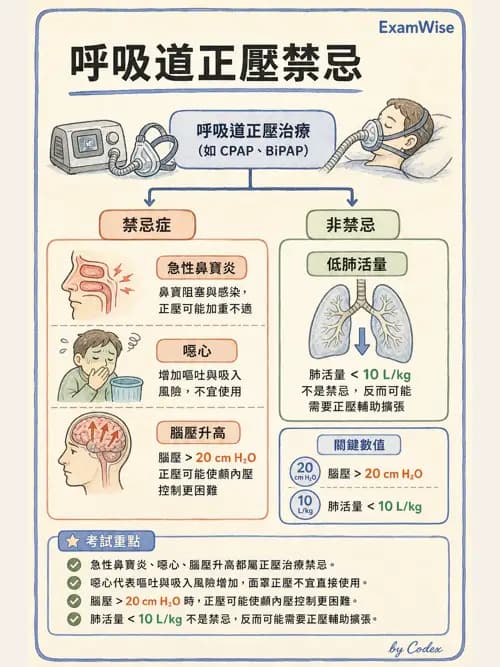 呼吸治療師 - 胸部擴張與物理治療設備 - AI 圖文解析預覽