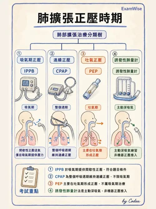 呼吸治療師 - 胸部擴張與物理治療設備 - AI 圖文解析預覽
