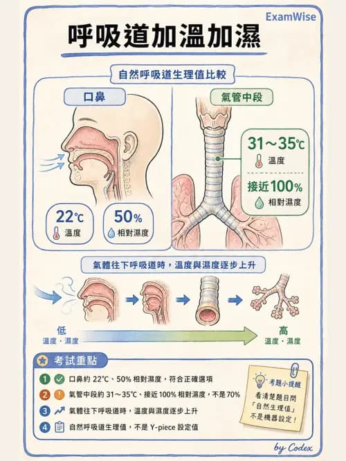 呼吸治療師 - 濕氣治療設備 - AI 圖文解析預覽