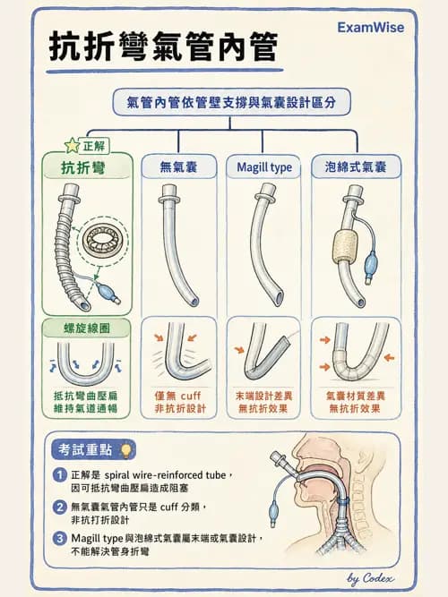 呼吸治療師 - 呼吸道照護與抽痰設備 - AI 圖文解析預覽