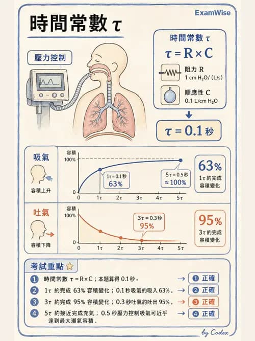 呼吸治療師 - 機械通氣生理 - AI 圖文解析預覽