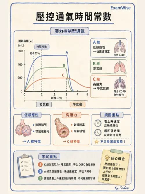 呼吸治療師 - 機械通氣生理 - AI 圖文解析預覽