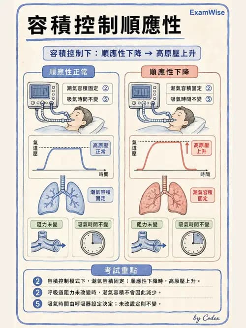 呼吸治療師 - 機械通氣生理 - AI 圖文解析預覽