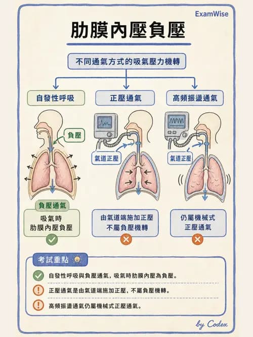 呼吸治療師 - 機械通氣生理 - AI 圖文解析預覽