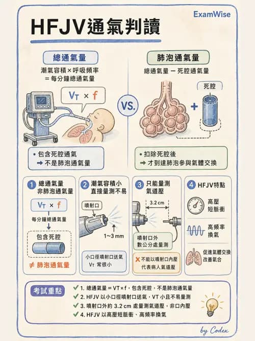 呼吸治療師 - 呼吸器設計與通氣模式 - AI 圖文解析預覽