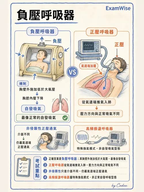 呼吸治療師 - 非侵襲性與居家通氣 - AI 圖文解析預覽