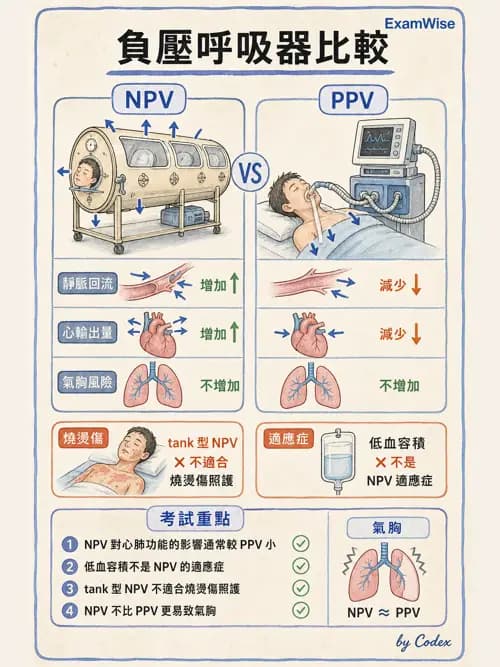 呼吸治療師 - 非侵襲性與居家通氣 - AI 圖文解析預覽