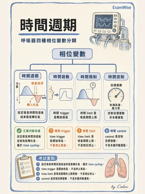 呼吸治療師 - 呼吸器設計與通氣模式 - AI 圖文解析預覽