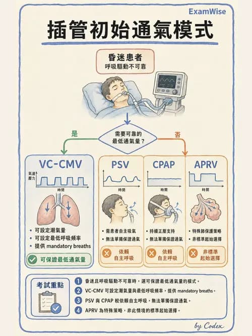 呼吸治療師 - 臨床設定、參數調整與脫離 - AI 圖文解析預覽