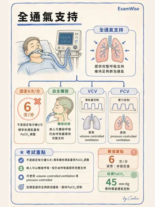 呼吸治療師 - 臨床設定、參數調整與脫離 - AI 圖文解析預覽