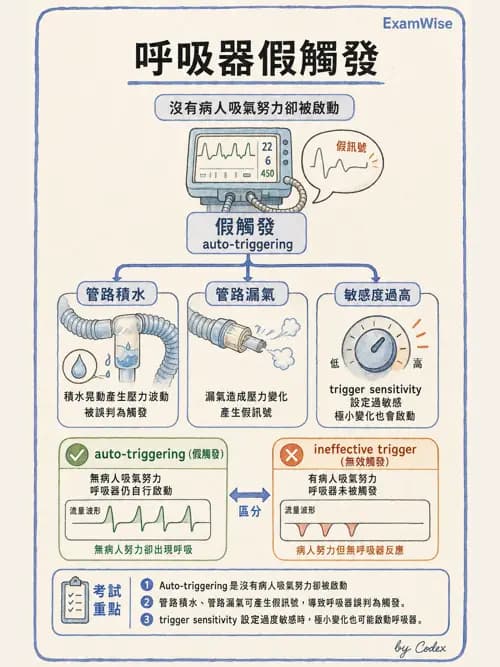 呼吸治療師 - 呼吸器圖形判讀與故障排除 - AI 圖文解析預覽