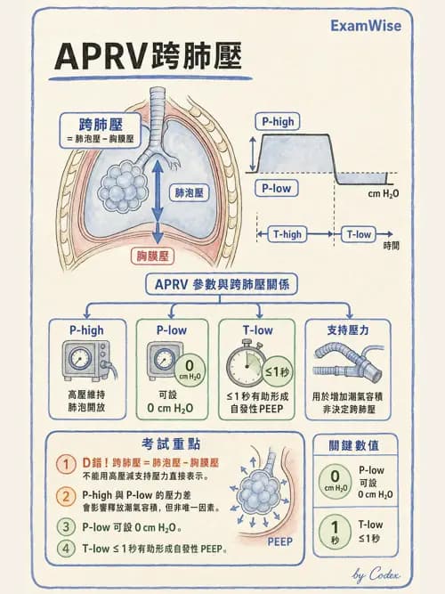 呼吸治療師 - 呼吸器設計與通氣模式 - AI 圖文解析預覽