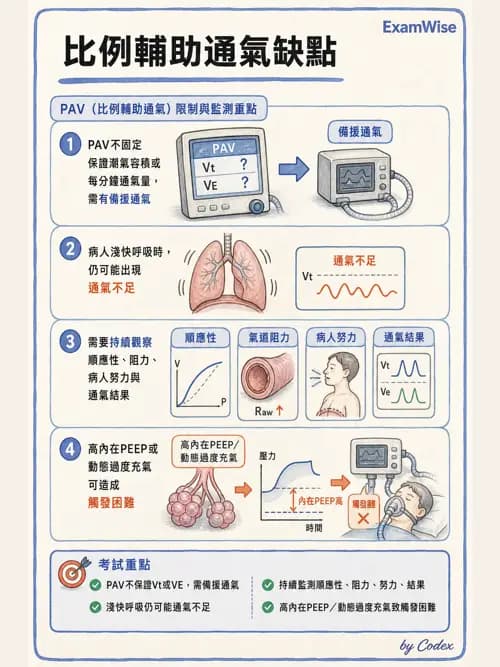 呼吸治療師 - 呼吸器設計與通氣模式 - AI 圖文解析預覽