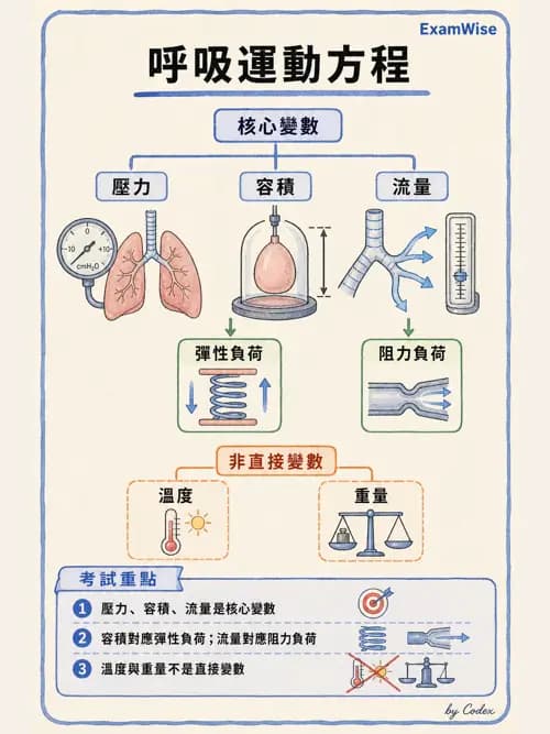 呼吸治療師 - 呼吸器設計與通氣模式 - AI 圖文解析預覽