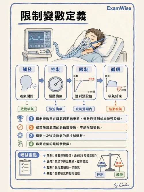 呼吸治療師 - 呼吸器設計與通氣模式 - AI 圖文解析預覽
