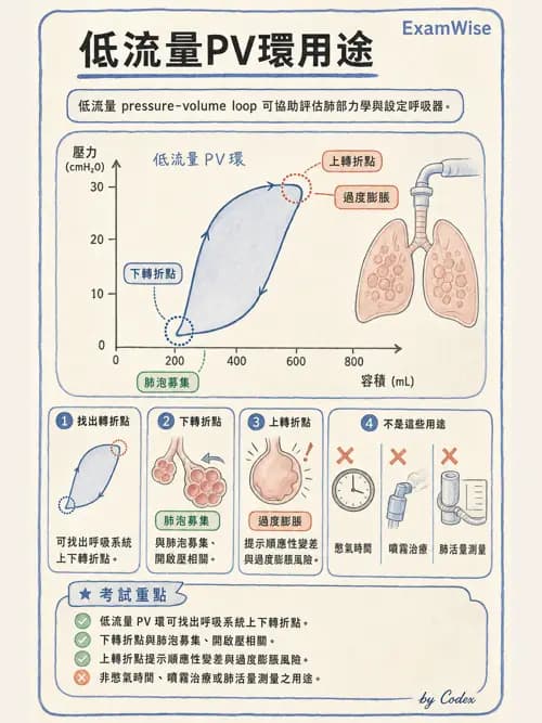 呼吸治療師 - 呼吸器圖形判讀與故障排除 - AI 圖文解析預覽