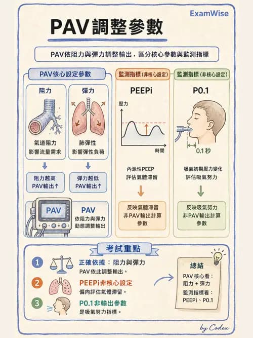 呼吸治療師 - 呼吸器設計與通氣模式 - AI 圖文解析預覽