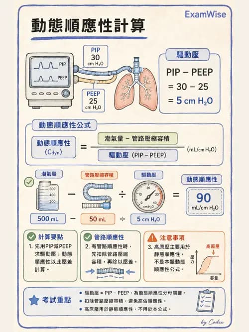 呼吸治療師 - 呼吸器監測與評估 - AI 圖文解析預覽