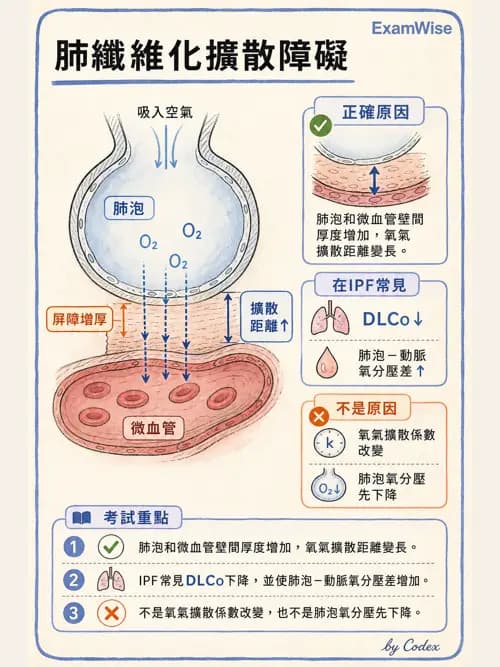 呼吸治療師 - 呼吸器監測與評估 - AI 圖文解析預覽