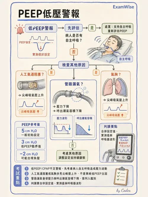 呼吸治療師 - 呼吸器圖形判讀與故障排除 - AI 圖文解析預覽