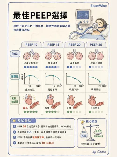 呼吸治療師 - 臨床設定、參數調整與脫離 - AI 圖文解析預覽