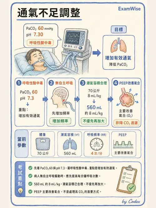 呼吸治療師 - 臨床設定、參數調整與脫離 - AI 圖文解析預覽
