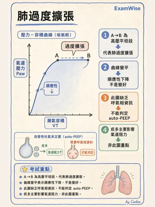 呼吸治療師 - 呼吸器圖形判讀與故障排除 - AI 圖文解析預覽