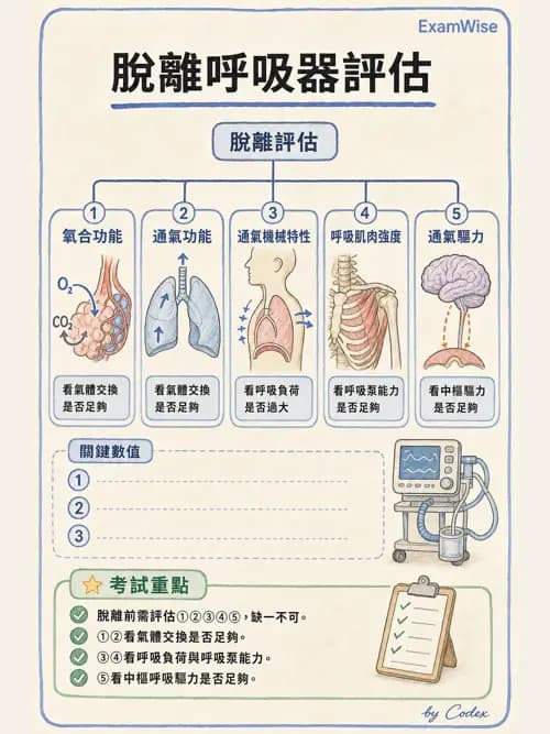 呼吸治療師 - 臨床設定、參數調整與脫離 - AI 圖文解析預覽