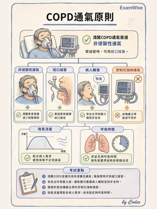 呼吸治療師 - 臨床設定、參數調整與脫離 - AI 圖文解析預覽