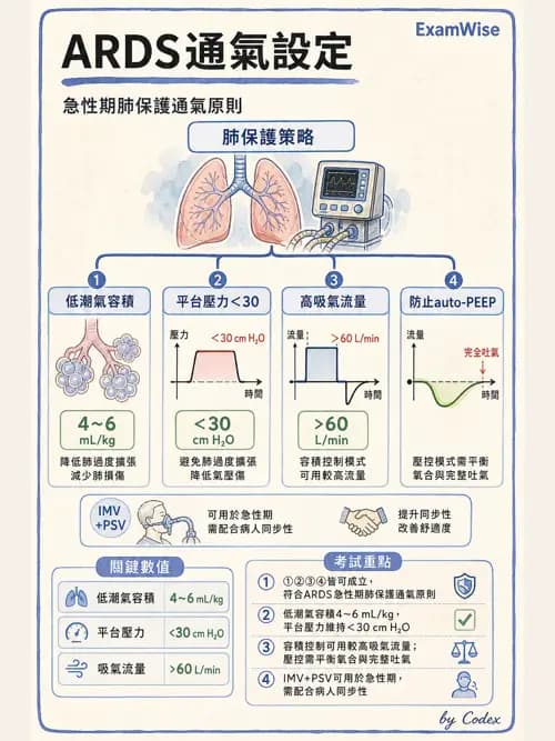 呼吸治療師 - 臨床設定、參數調整與脫離 - AI 圖文解析預覽