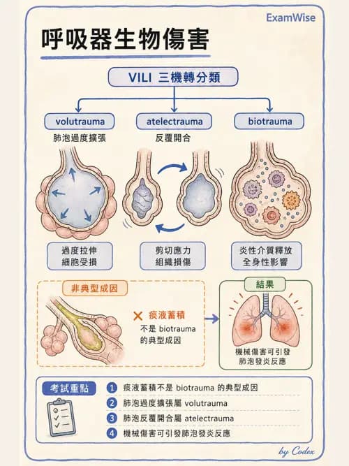 呼吸治療師 - 正壓通氣生理影響與合併症 - AI 圖文解析預覽