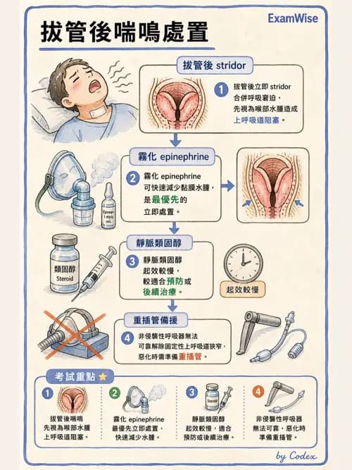 呼吸治療師 - 臨床設定、參數調整與脫離 - AI 圖文解析預覽