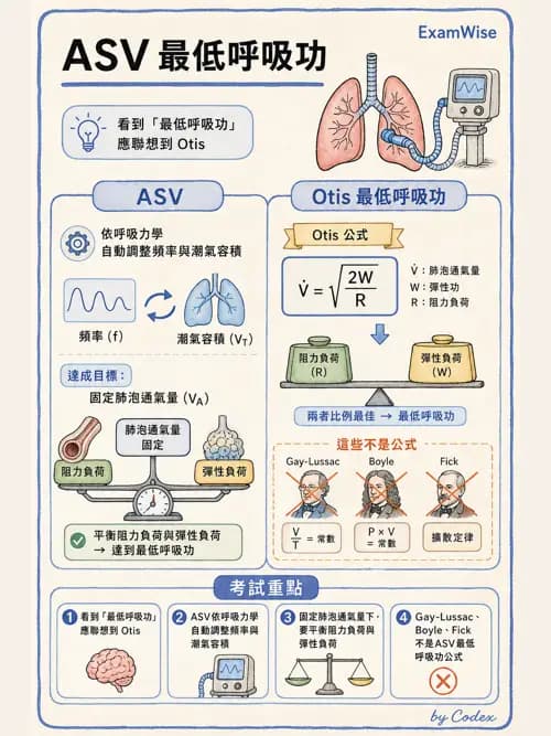呼吸治療師 - 呼吸器設計與通氣模式 - AI 圖文解析預覽