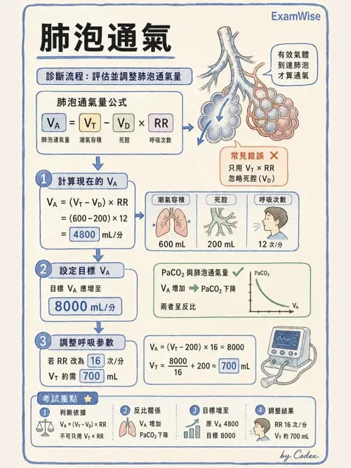 呼吸治療師 - 臨床設定、參數調整與脫離 - AI 圖文解析預覽