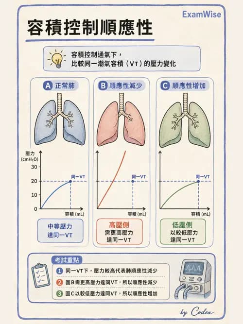 呼吸治療師 - 呼吸器圖形判讀與故障排除 - AI 圖文解析預覽