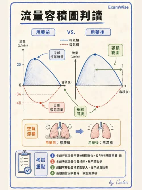 呼吸治療師 - 呼吸器圖形判讀與故障排除 - AI 圖文解析預覽