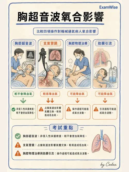 呼吸治療師 - 呼吸器監測與評估 - AI 圖文解析預覽