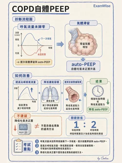 呼吸治療師 - 臨床設定、參數調整與脫離 - AI 圖文解析預覽
