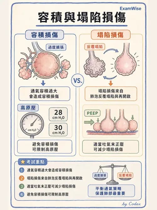 呼吸治療師 - 正壓通氣生理影響與合併症 - AI 圖文解析預覽