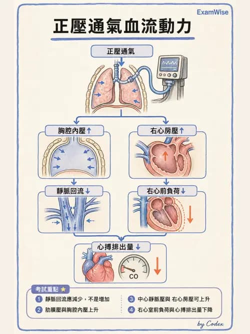 呼吸治療師 - 正壓通氣生理影響與合併症 - AI 圖文解析預覽