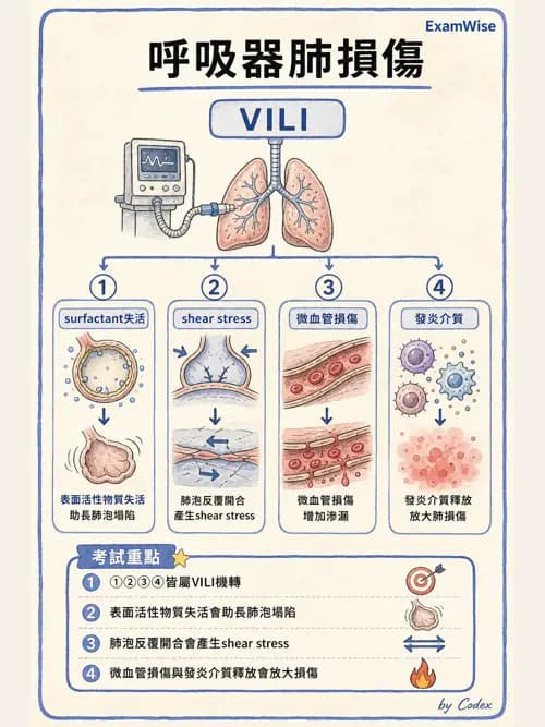 呼吸治療師 - 正壓通氣生理影響與合併症 - AI 圖文解析預覽