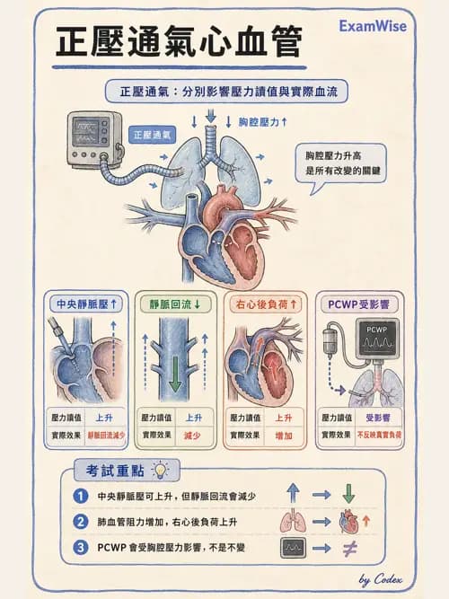 呼吸治療師 - 正壓通氣生理影響與合併症 - AI 圖文解析預覽