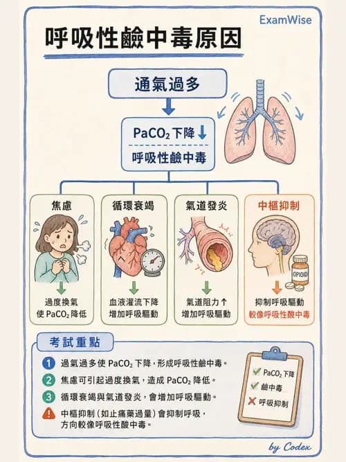 呼吸治療師 - 正壓通氣生理影響與合併症 - AI 圖文解析預覽