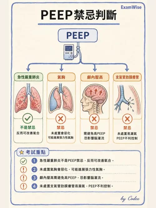 呼吸治療師 - 正壓通氣生理影響與合併症 - AI 圖文解析預覽