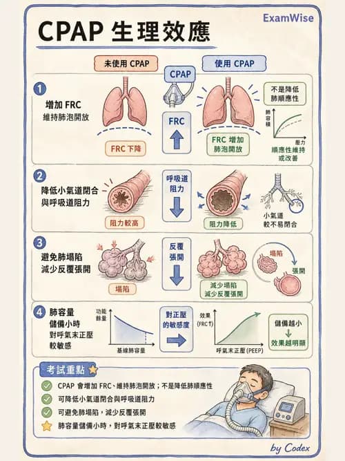 呼吸治療師 - 小兒呼吸器支持 - AI 圖文解析預覽