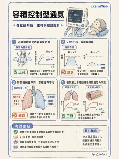 呼吸治療師 - 小兒呼吸器支持 - AI 圖文解析預覽